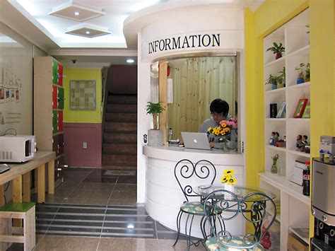 dream inn seoul|Dream Inn Seoul in Seoul .